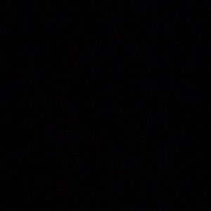 Meet your Posher, Nina